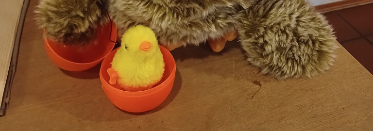 Frieda und ihr Küken