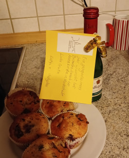 Überraschungsbesuche am 30.12.